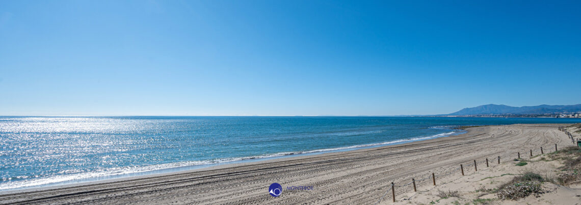 Los Monteros beach